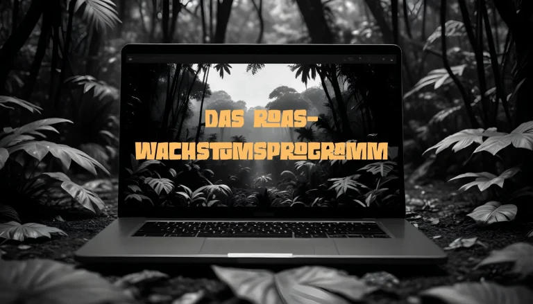 ROAS-Wachstumsprogramm